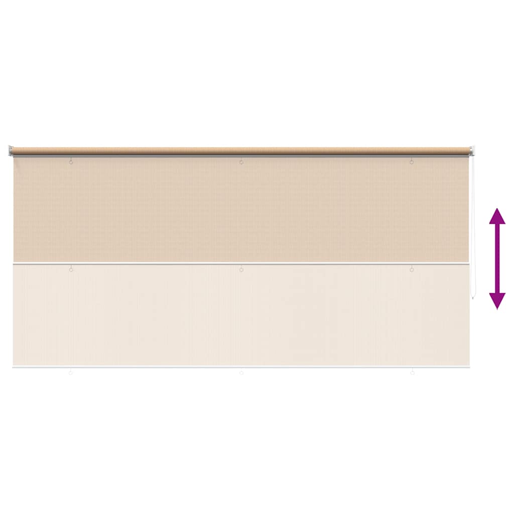vidaXL Outdoor Roller Blind 245(W)x140(H) cm Beige