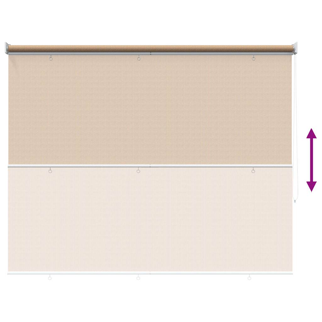 vidaXL Outdoor Roller Blind 165(W)x230(H) cm Beige