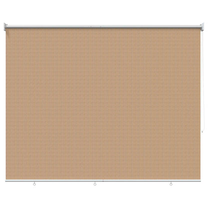 vidaXL Outdoor Roller Blind 165(W)x230(H) cm Beige