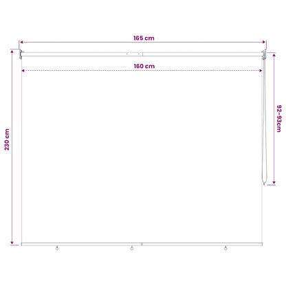 vidaXL Outdoor Roller Blind 165(W)x230(H) cm Cream