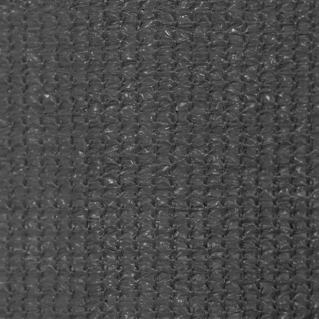 vidaXL Outdoor Roller Blind 105(W)x140(H) cm Anthracite