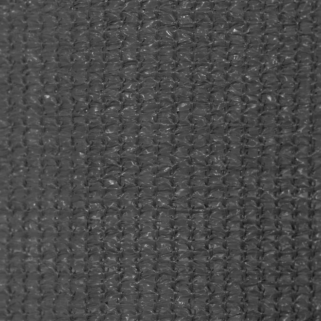 vidaXL Outdoor Roller Blind 125(W)x140(H) cm Anthracite