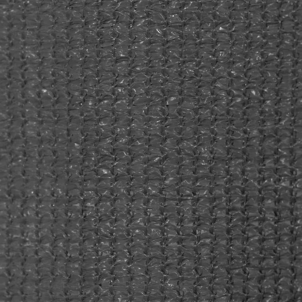vidaXL Outdoor Roller Blind 165(W)x140(H) cm Anthracite