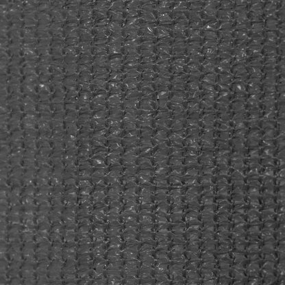 vidaXL Outdoor Roller Blind 165(W)x140(H) cm Anthracite