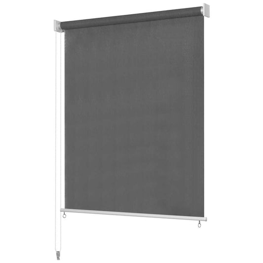 vidaXL Outdoor Roller Blind 225(W)x140(H) cm Anthracite