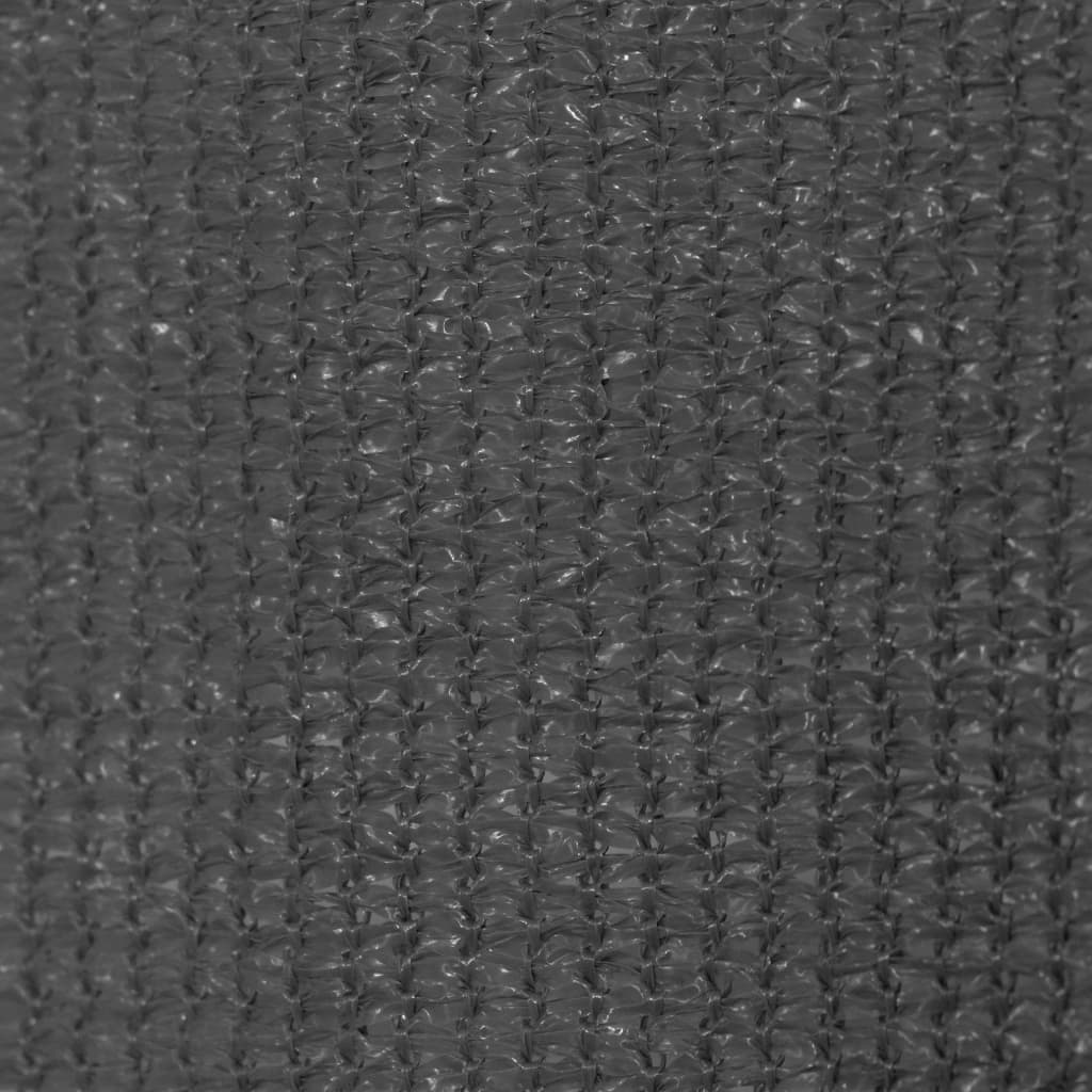 vidaXL Outdoor Roller Blind 225(W)x140(H) cm Anthracite