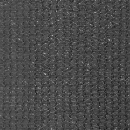 vidaXL Outdoor Roller Blind 225(W)x140(H) cm Anthracite