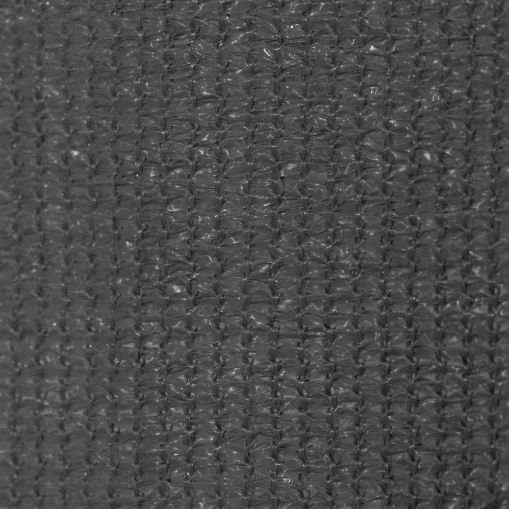 vidaXL Outdoor Roller Blind 105(W)x230(H) cm Anthracite