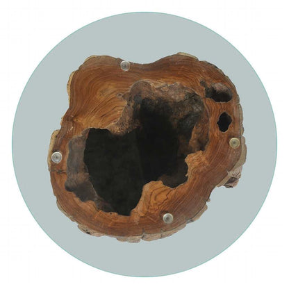 vidaXL Coffee Table Teak Glass 50x40 cm