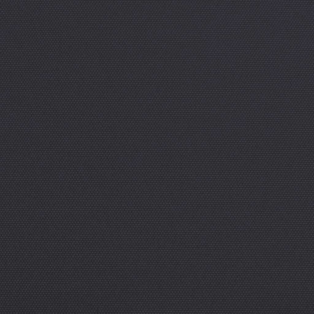 vidaXL Manual Awning 3 x 2.5 m Anthracite 100% Polyester