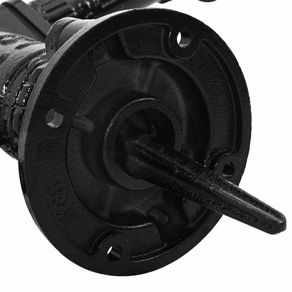 vidaXL Garden Hand Water Pump Cast Iron
