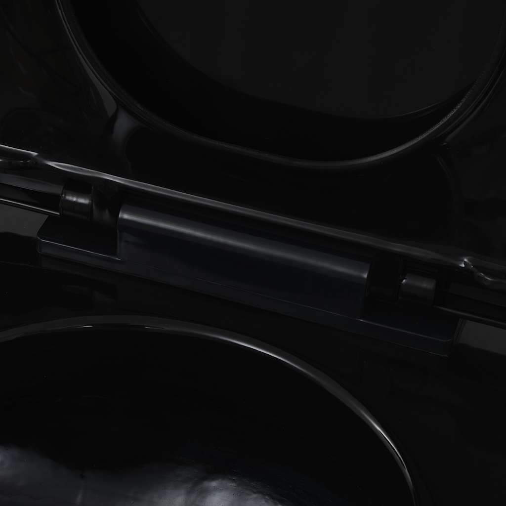 vidaXL Wall-Hung Toilet Ceramic Black