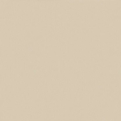 44568 vidaXL Collapsible Terrace Side Awning Cream 300x150 cm