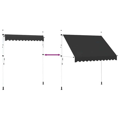 vidaXL Manual Retractable Awning 250 cm Anthracite