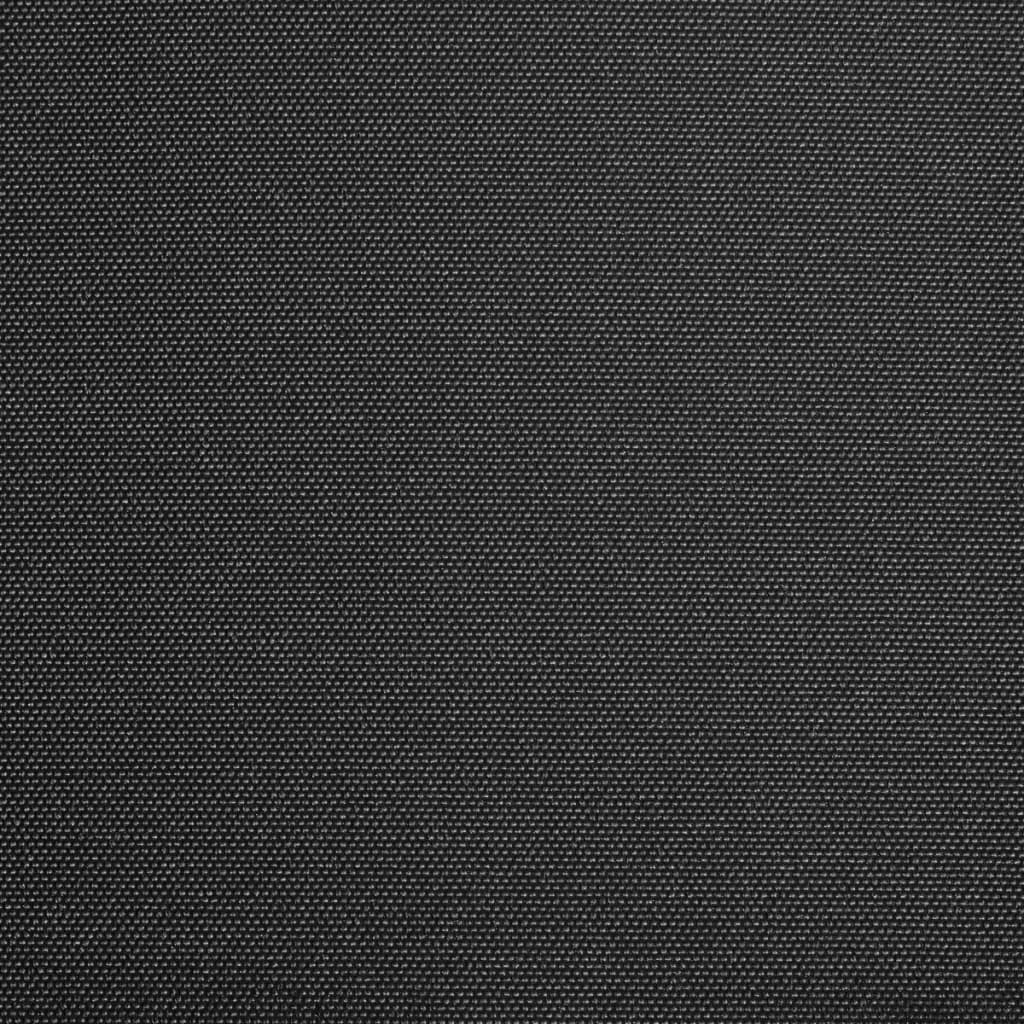 vidaXL Awning Top Sunshade Canvas Anthracite 600x300 cm