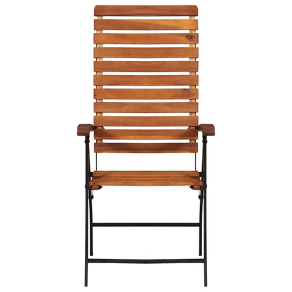 vidaXL Garden Chair | Set of 2 | Brown and Black | Acacia hardwood and steel