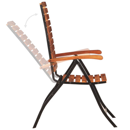 vidaXL Garden Chair | Set of 2 | Brown and Black | Acacia hardwood and steel