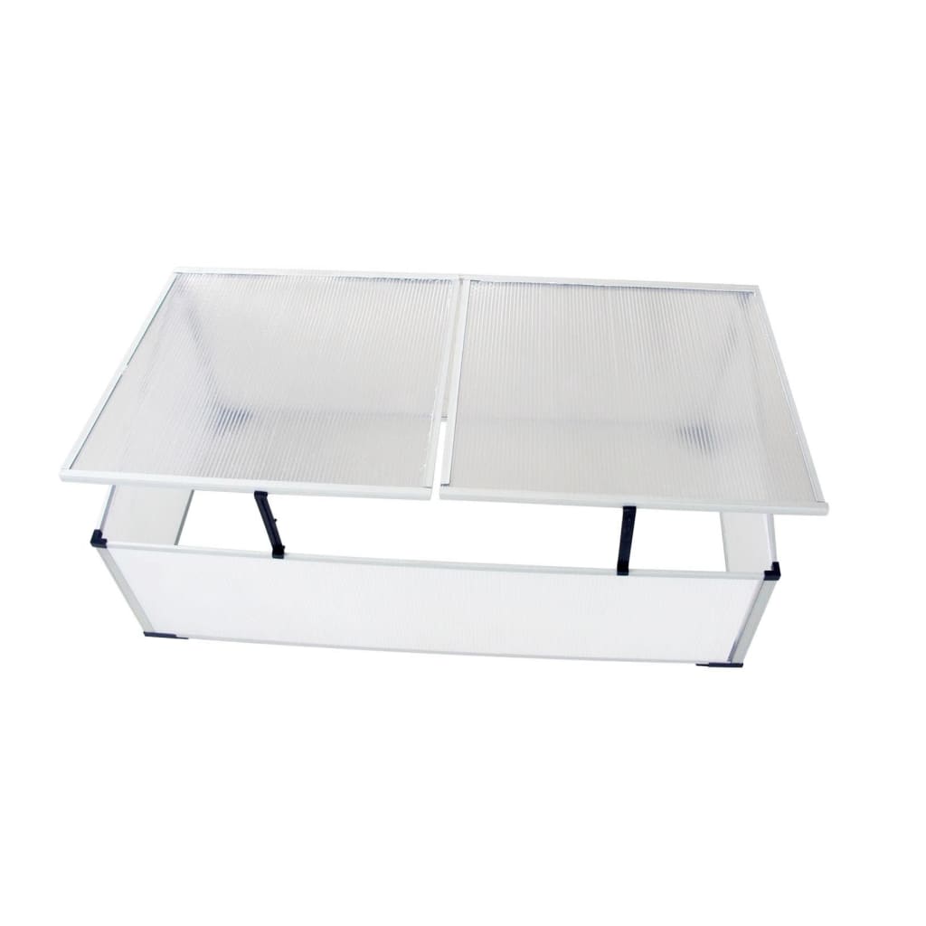 vidaXL Cold Frame 2 Lids 110x55x41 cm
