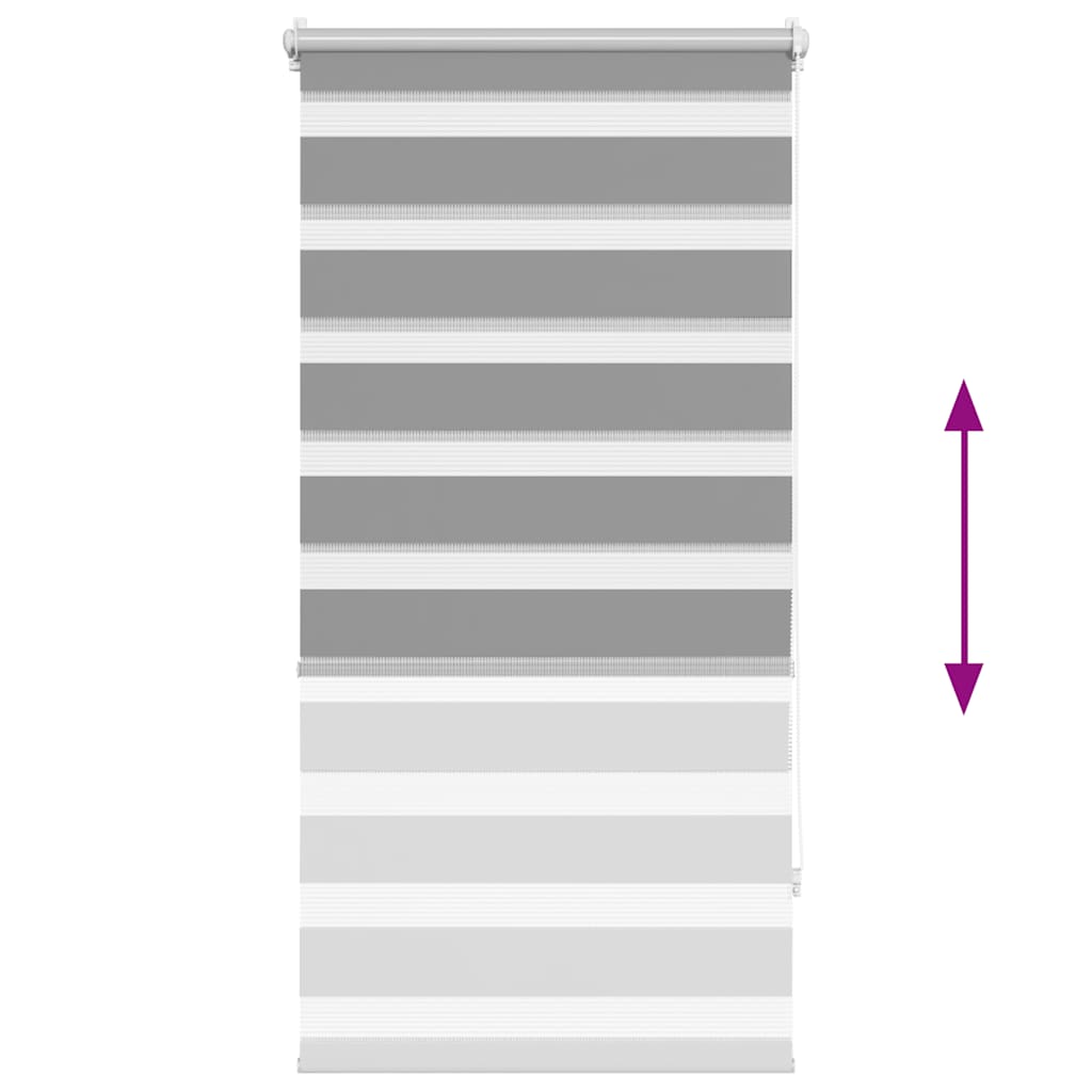 vidaXL Zebra blind 60,9x120 cm Fabric Width 56,7 cm grey
