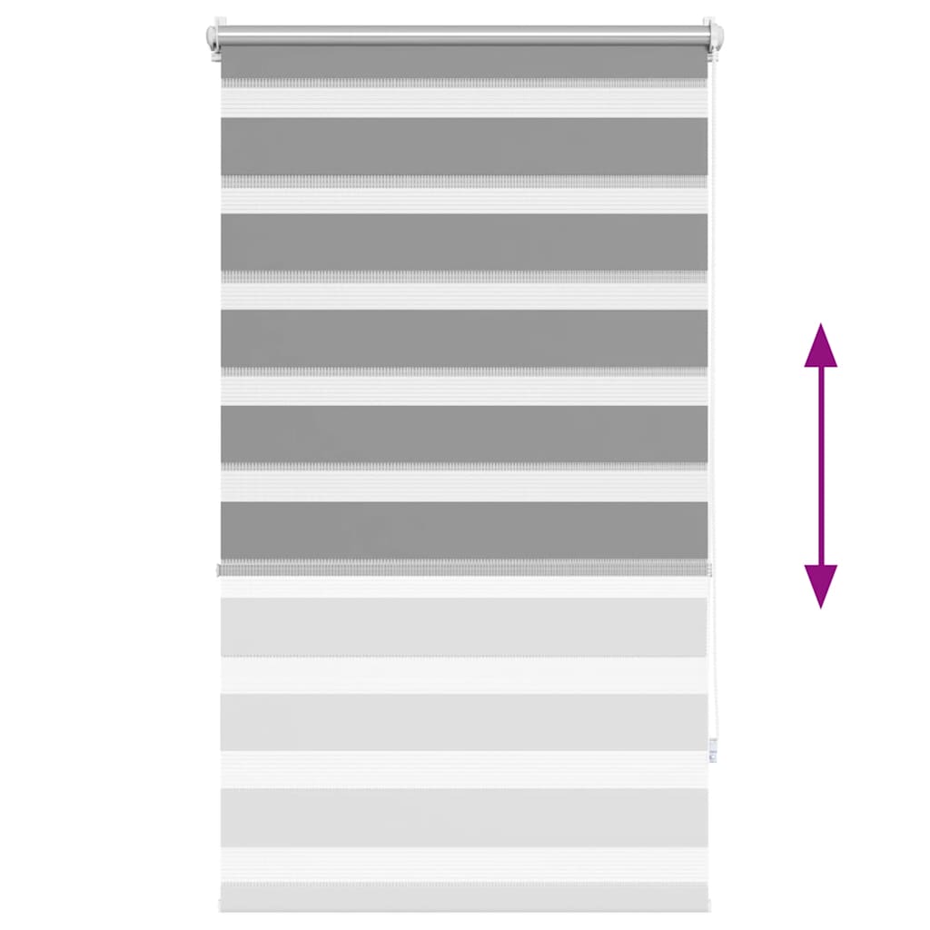 vidaXL Zebra blind 70.9x120 cm Fabric Width 66.7 cm grey
