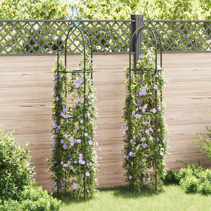 vidaXL Garden Arch Tower 2 pcs