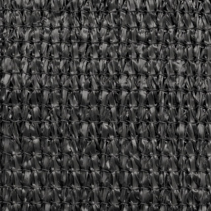 vidaXL Balcony Screen HDPE 75x600 cm Anthracite