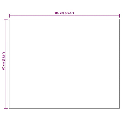 vidaXL Frameless Mirror 100x60 cm Glass