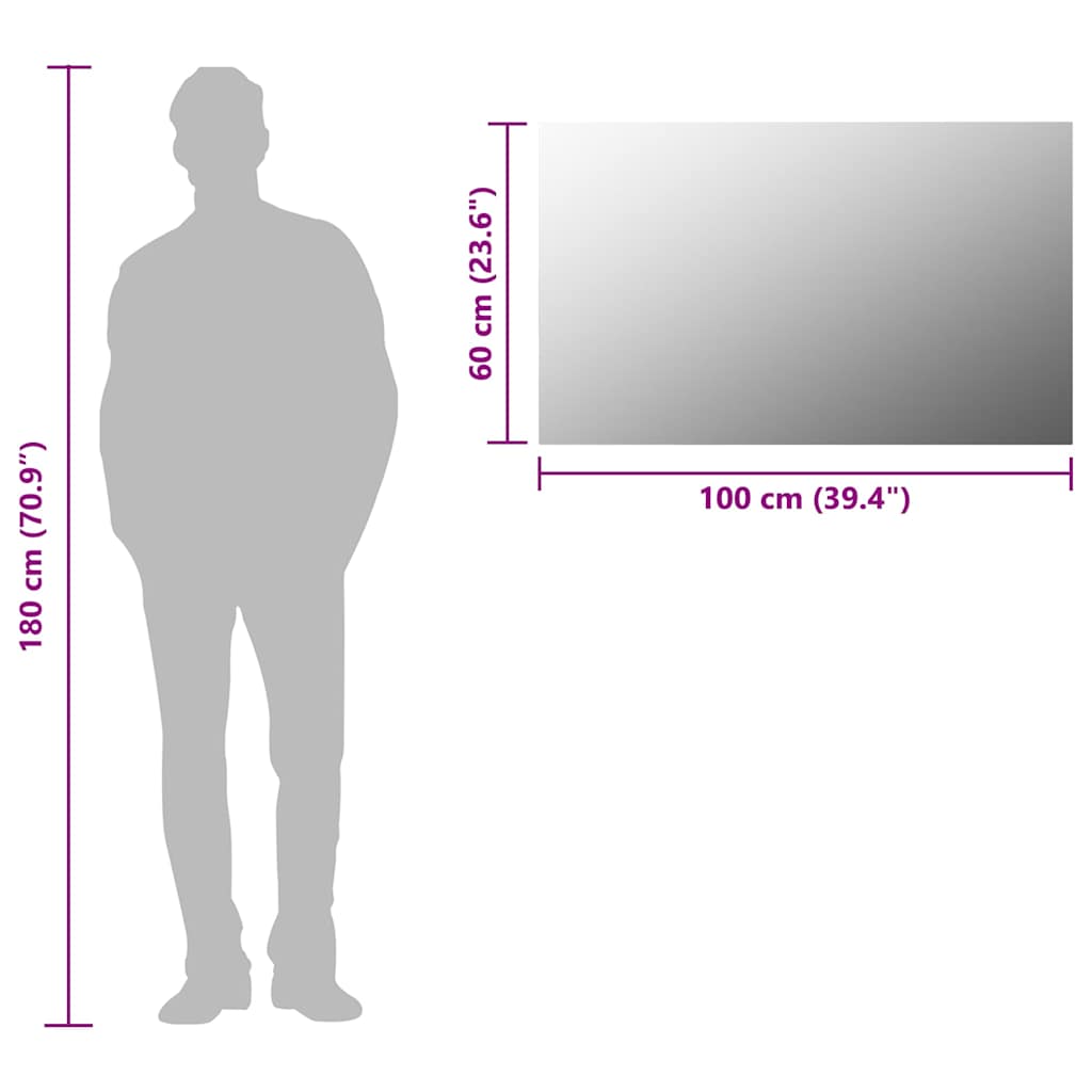 vidaXL Frameless Mirror 100x60 cm Glass