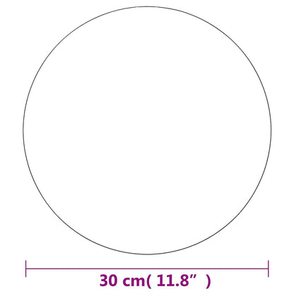 283653 vidaXL Frameless Mirror Round 30 cm Glass