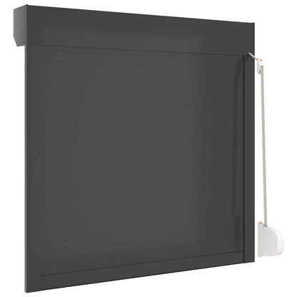 vidaXL Roller Shutter Manual Anthracite 100 x 100 cm