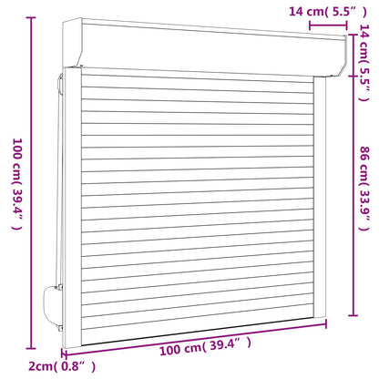vidaXL Roller Shutter Manual Anthracite 100 x 100 cm