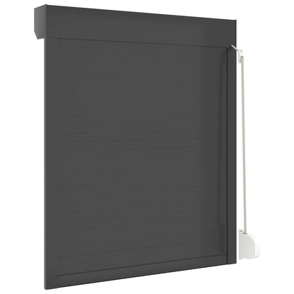 vidaXL Roller Shutter Manual Anthracite 100 x 120 cm
