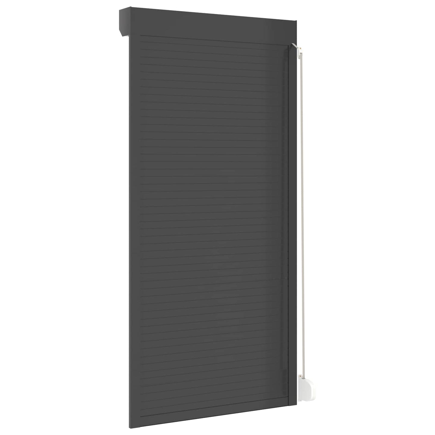 vidaXL Roller Shutter Manual Anthracite 100 x 210 cm