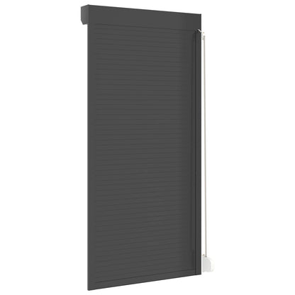 vidaXL Roller Shutter Manual Anthracite 100 x 210 cm