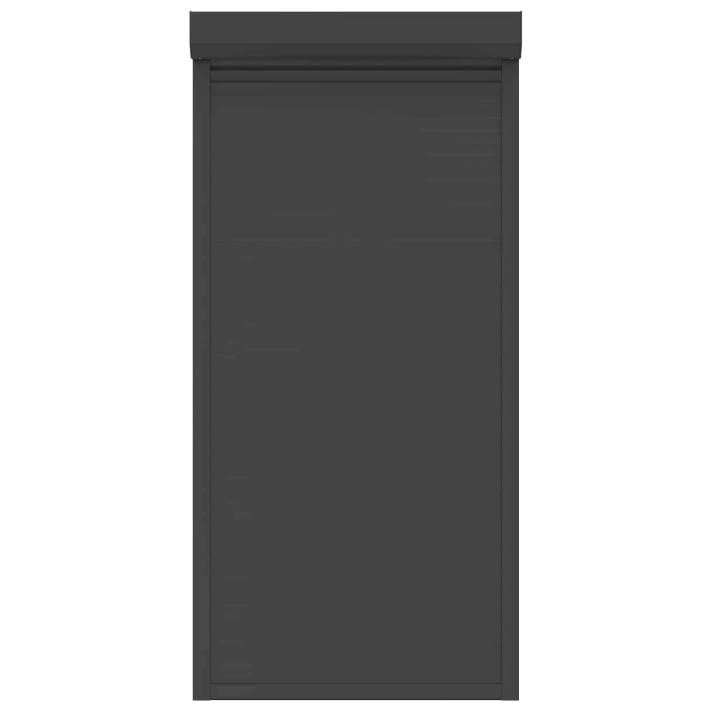 vidaXL Roller Shutter Manual Anthracite 100 x 210 cm