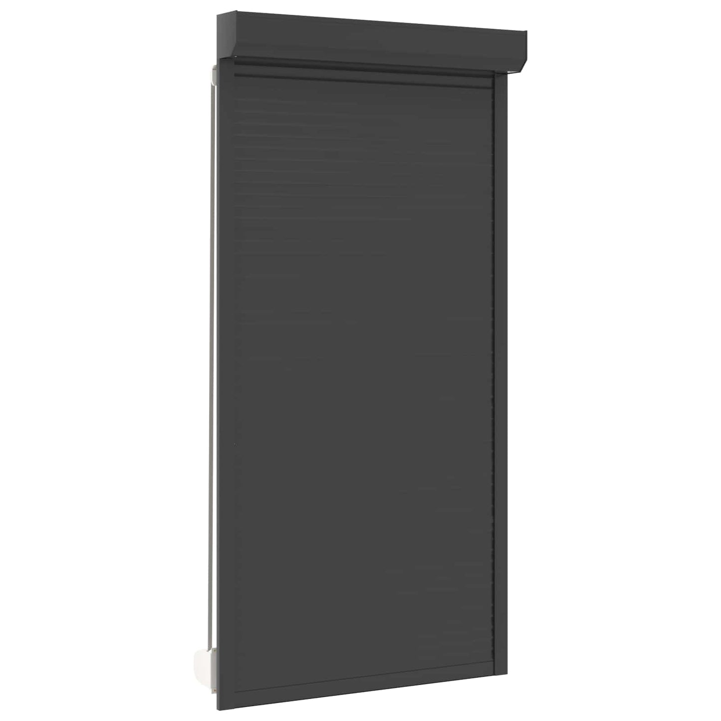 vidaXL Roller Shutter Manual Anthracite 110 x 220 cm