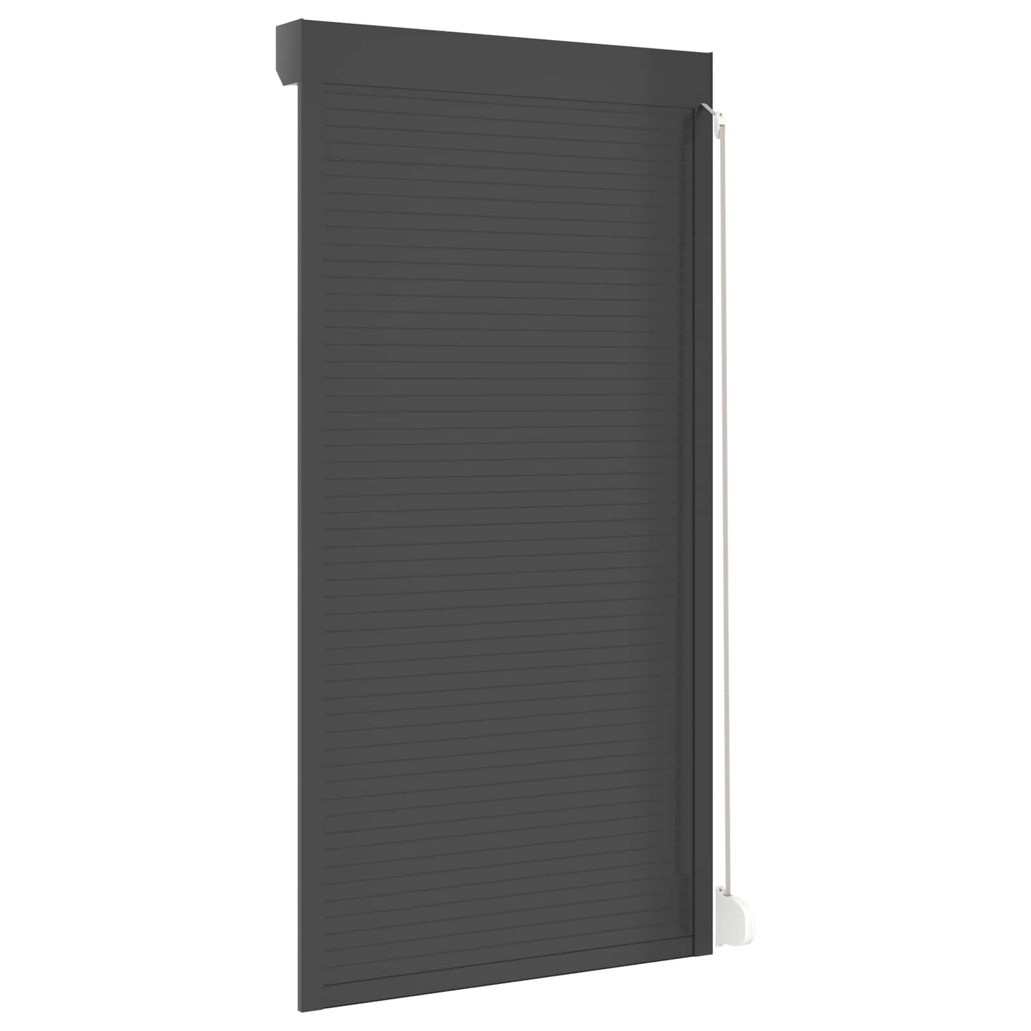 vidaXL Roller Shutter Manual Anthracite 110 x 220 cm