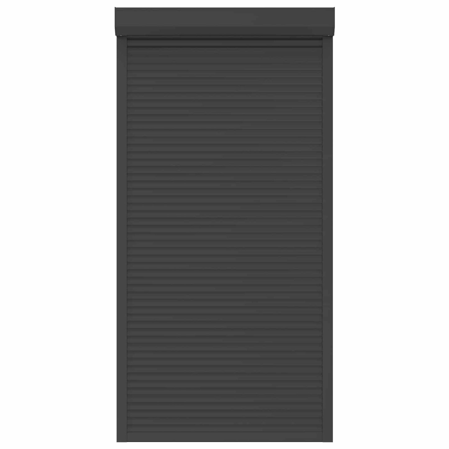 vidaXL Roller Shutter Manual Anthracite 110 x 220 cm
