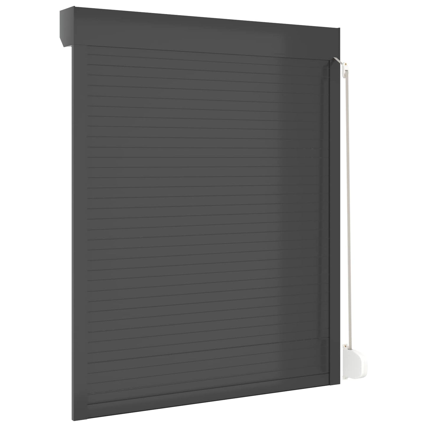 vidaXL Roller Shutter Manual Anthracite 120 x 150 cm