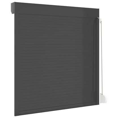 vidaXL Roller Shutter Manual Anthracite 130 x 140 cm