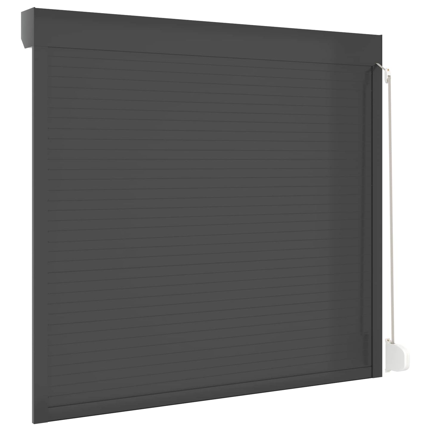 vidaXL Roller Shutter Manual Anthracite 160 x 150 cm