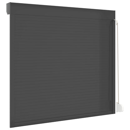 vidaXL Roller Shutter Manual Anthracite 160 x 150 cm