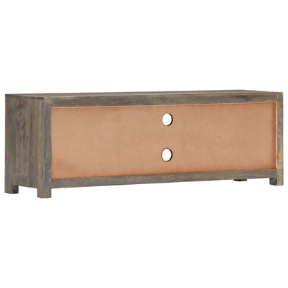 282735 vidaXL TV Cabinet Grey 120x30x40 cm Solid Mango Wood