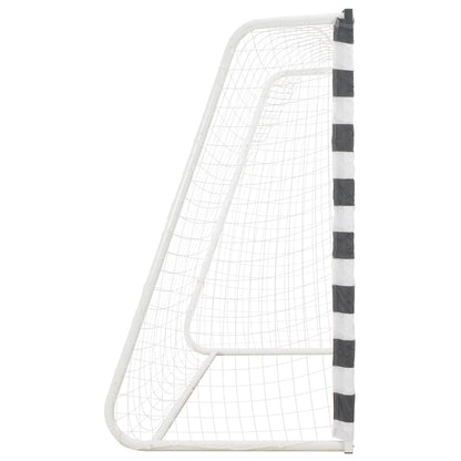 vidaXL Soccer Goal 300x160x90 cm Metal Black and White
