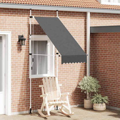 145832 vidaXL Manual Retractable Awning 100 cm Anthracite