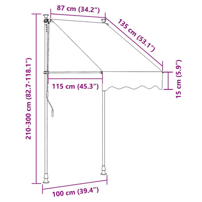 vidaXL Manual Retractable Awning with LED 100 cm Blue and White