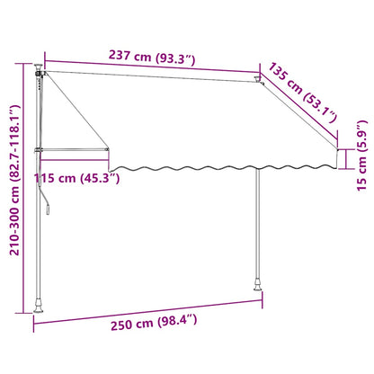 vidaXL Manual Retractable Awning with LED 250 cm Blue and White
