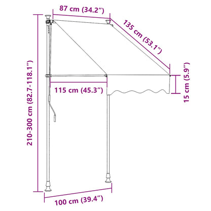 vidaXL Manual Retractable Awning with LED 100 cm Anthracite