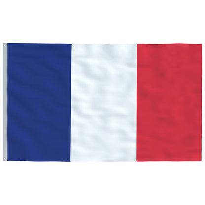 vidaXL France Flag 90x150 cm