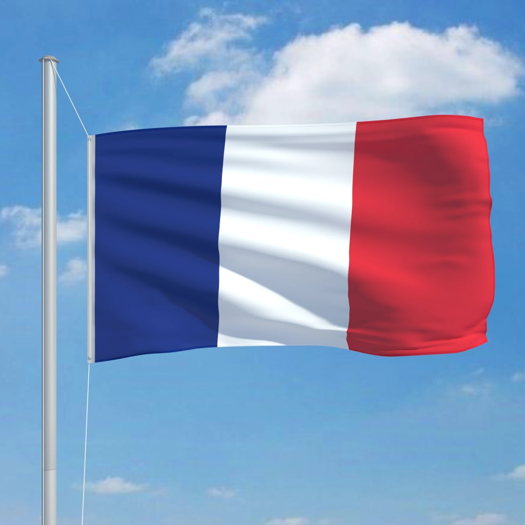 vidaXL France Flag 90x150 cm